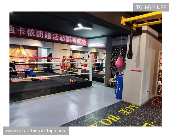 国际拳击选手退役养老保障试点项目进展报告，拳击选手退役后