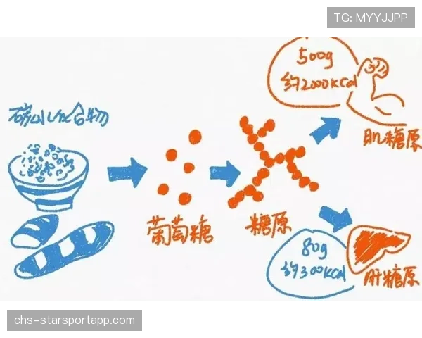 运动营养中碳水化合物周期摄入对表现的影响 运动营养中碳水化合物周期摄入对表现的影响