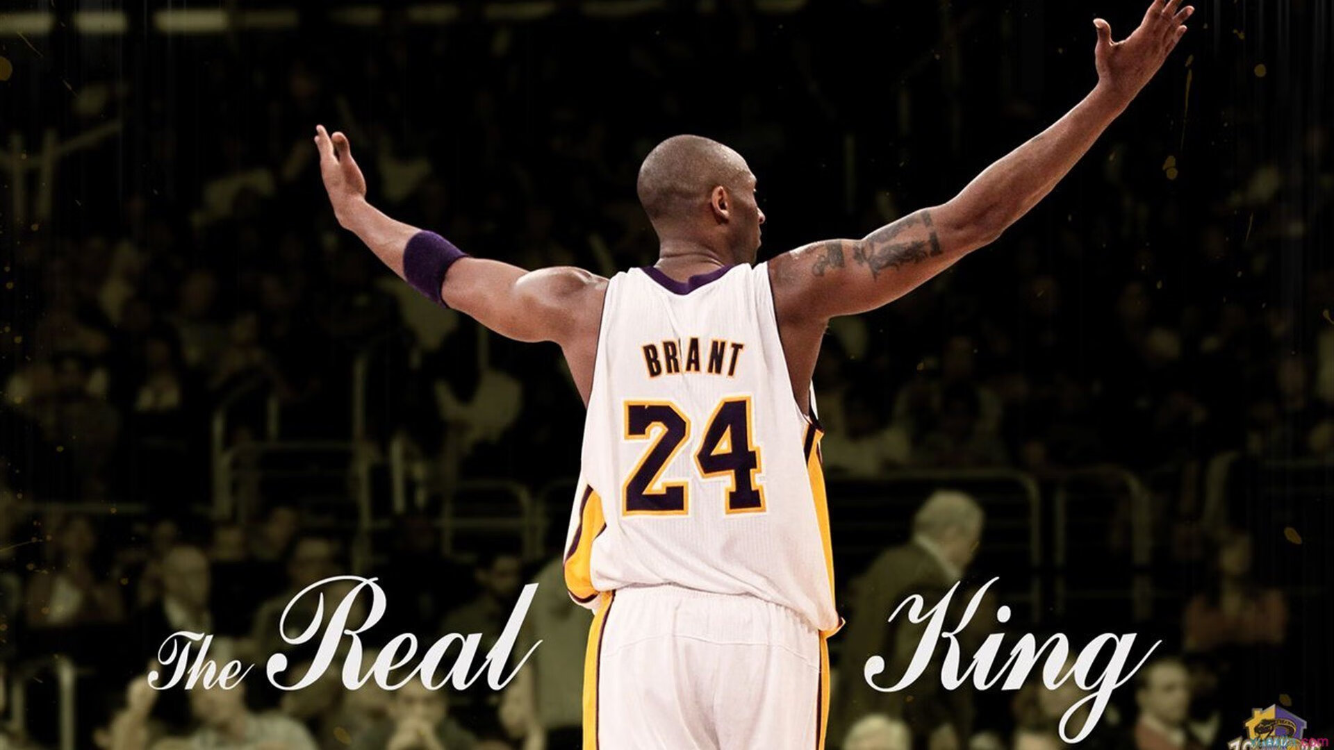 星空娱乐最新网址-中国女排组织全员观看奥运经典比赛，看中国女排奥运会